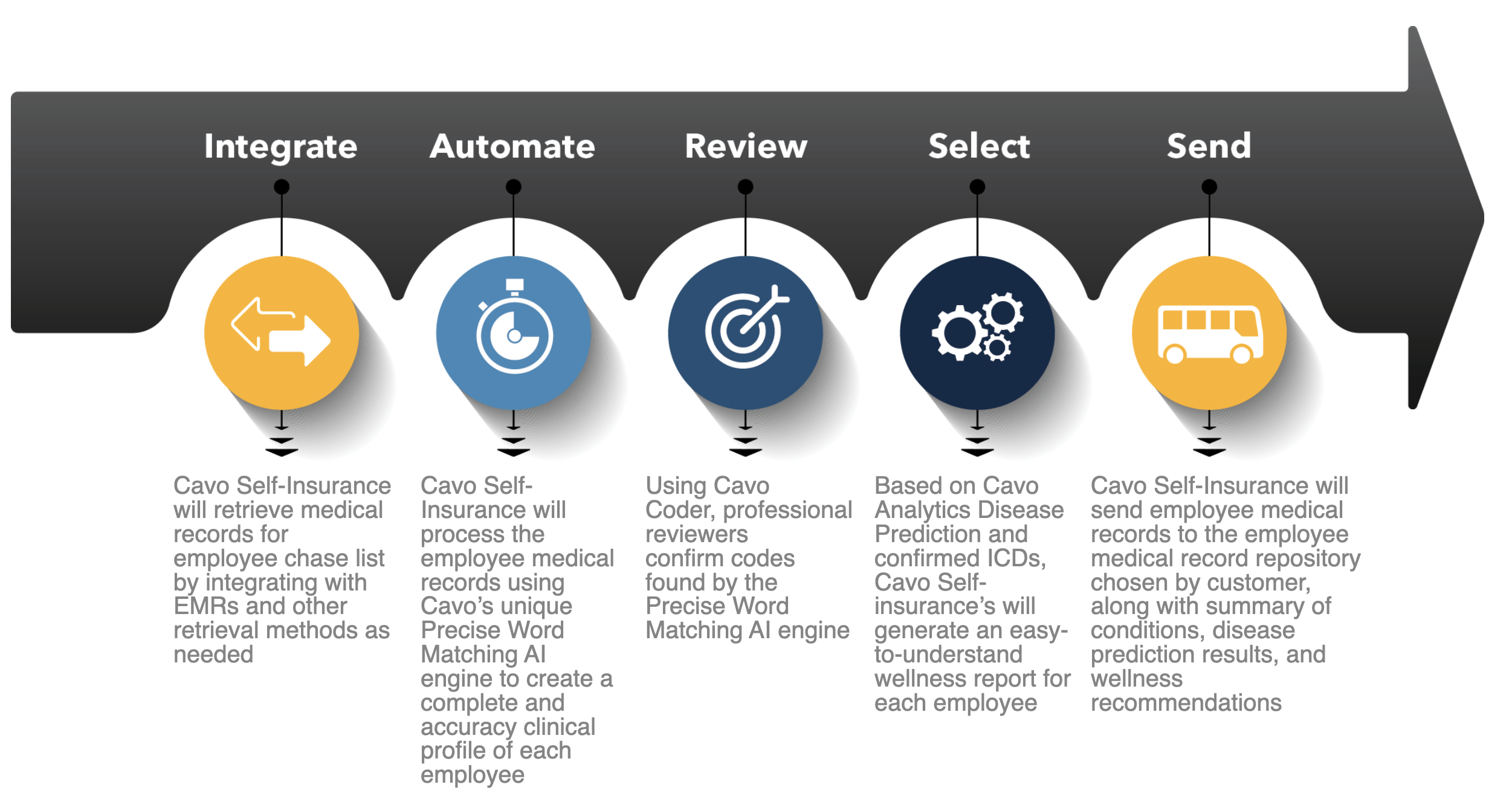 cavo-chart-insurance